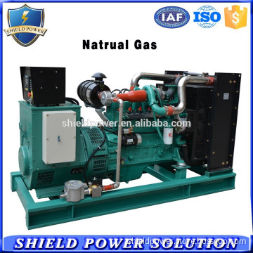 Factory Customize CNG Natural Gas Powered Generator Set CNG Gas